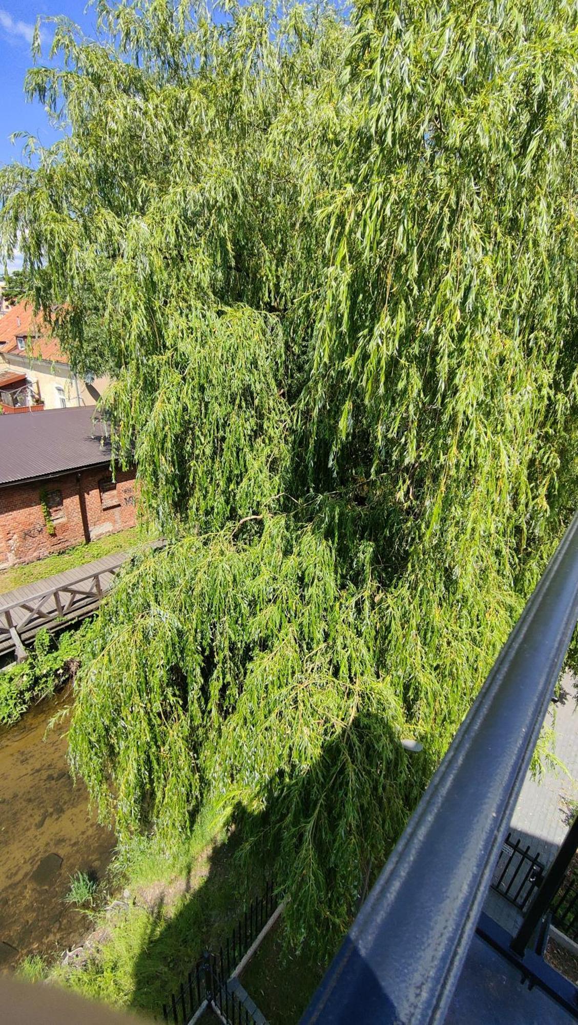 Apartament Nad Rzeka Lega Олецко Екстериор снимка